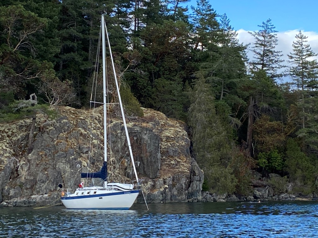 Finally settled in smugglers bay Finally settled in smugglers bay
