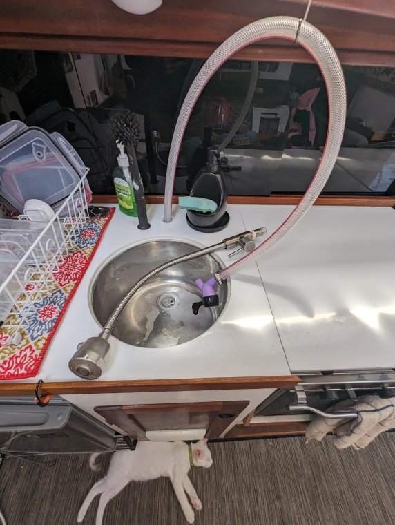 Our faucet broke mid travel. This was our genius fix (and help of the cat)