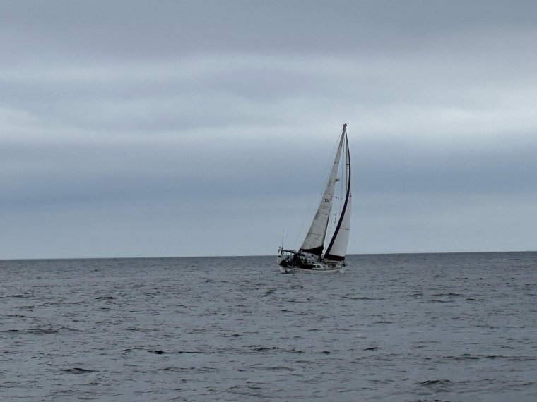 Cora Lee Making progress up the west coast