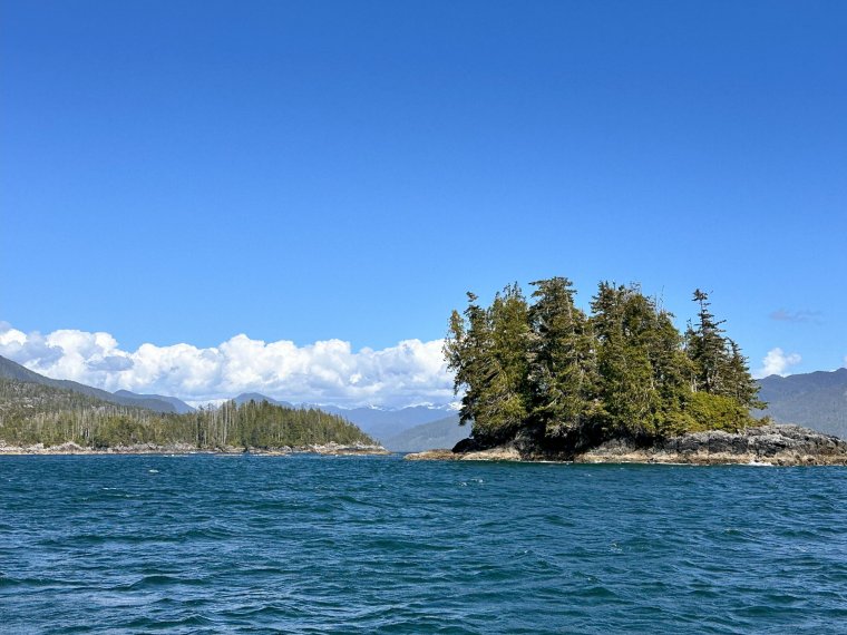Wind blown islands at the entrance to Queen Cove